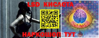 mdma Камышлов