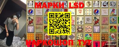 mdpv Кимры