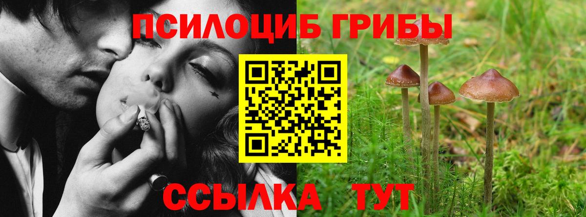 Псилоцибиновые грибы GOLDEN TEACHER  Вход с VPN  Краснокаменск 